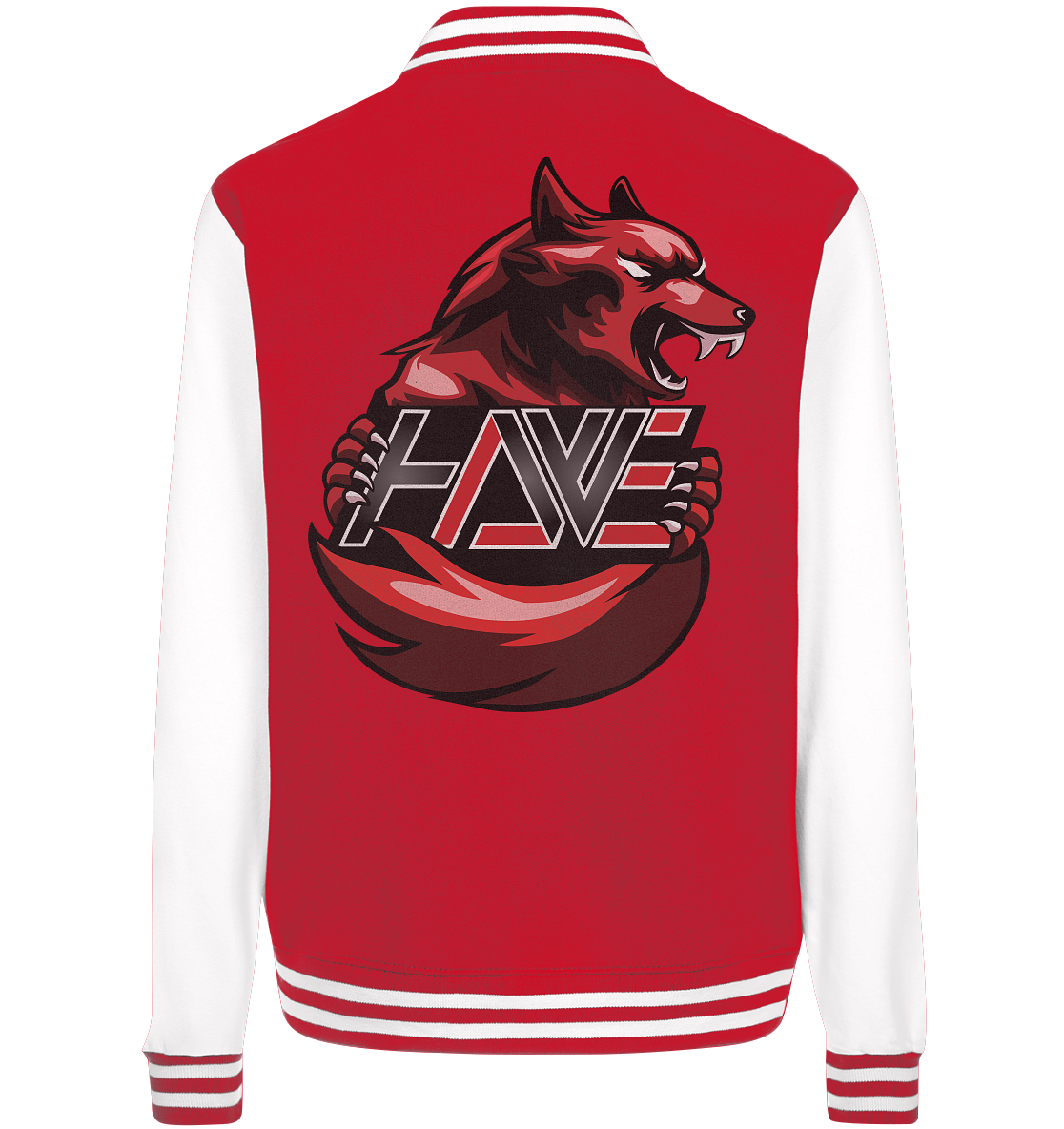 HATERS WEAPON - Basic College Jacke