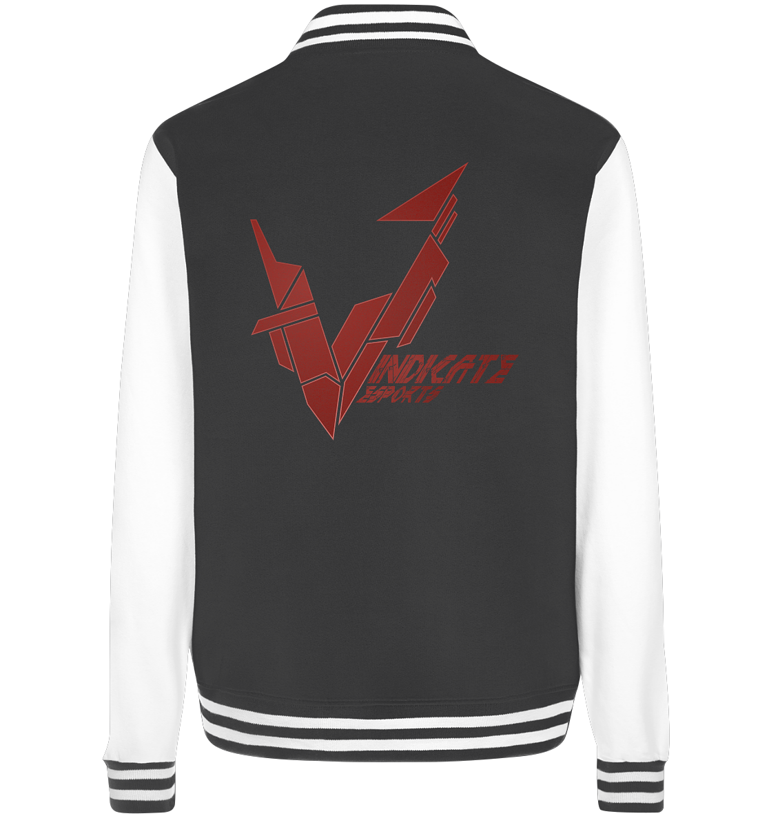 VINDICATE ESPORTS - Basic College Jacke