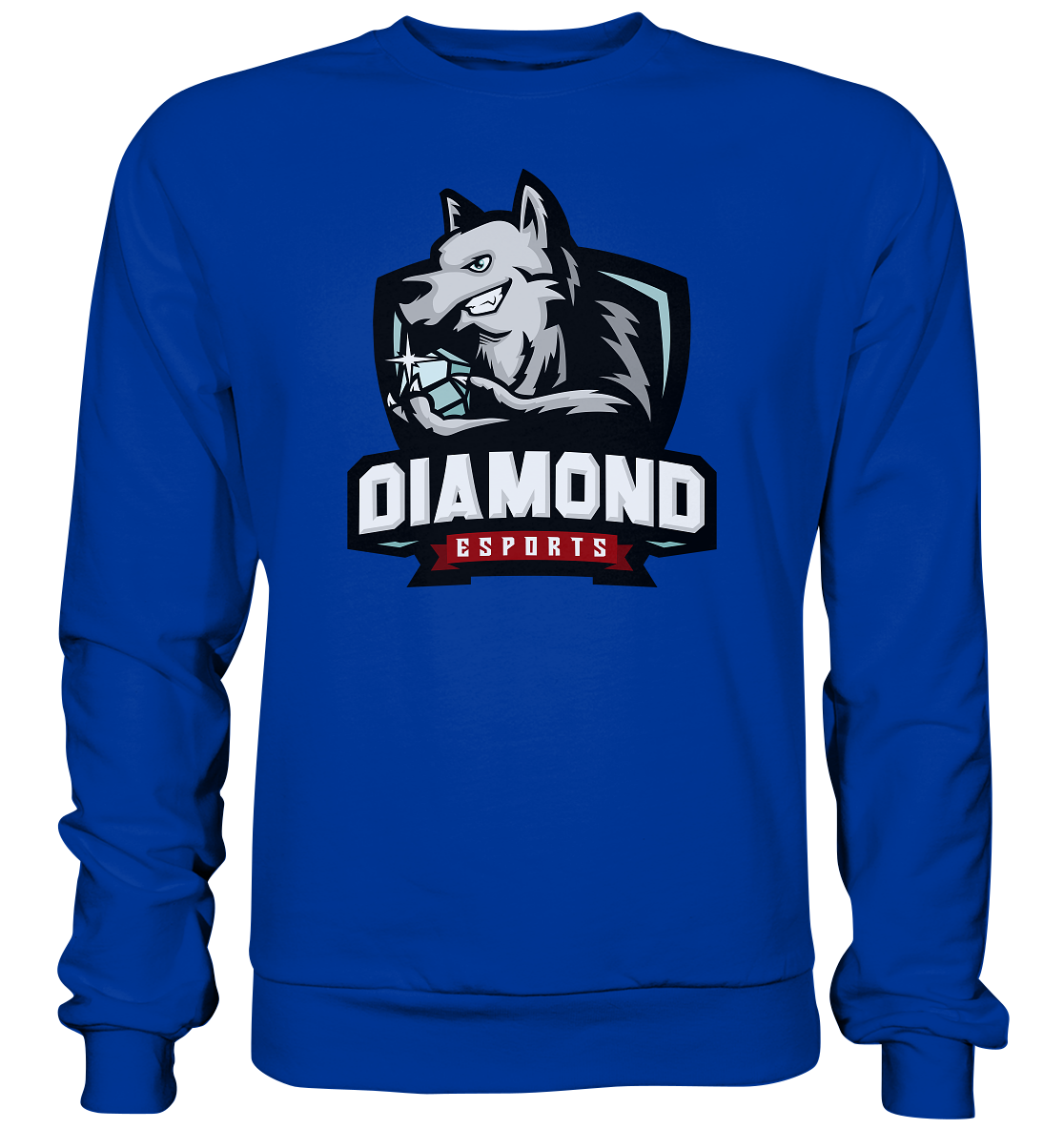 DIAMOND ESPORTS - Basic Sweatshirt