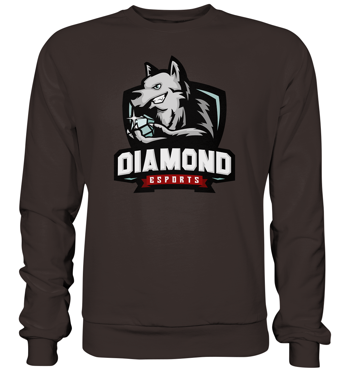 DIAMOND ESPORTS - Basic Sweatshirt