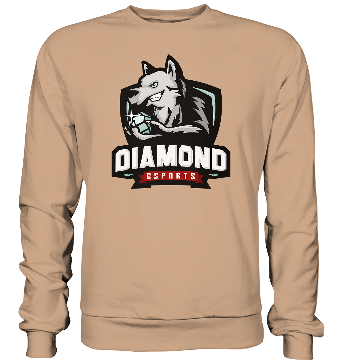 DIAMOND ESPORTS - Basic Sweatshirt