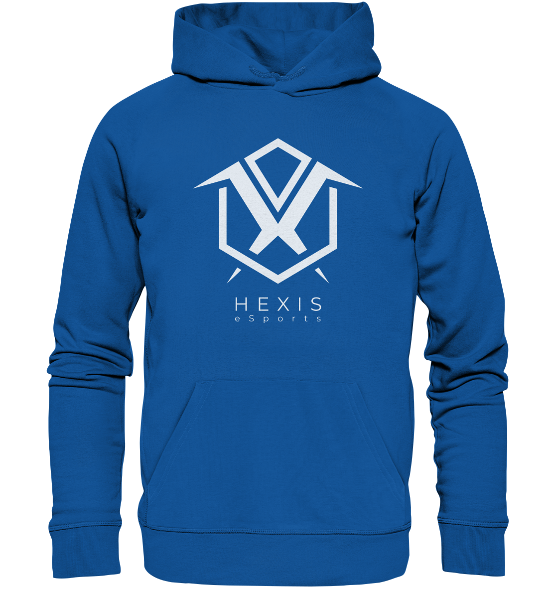 HEXIS ESPORTS -  Basic Hoodie