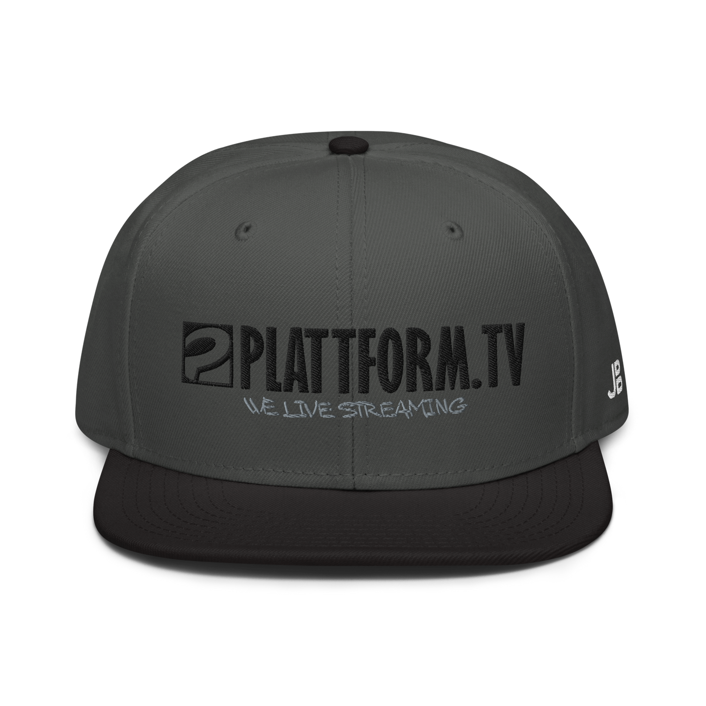 PLATTFORM.TV - Snapback Cap WLS Grey